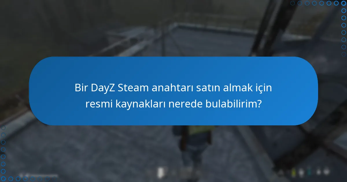 Yetkisiz satıcılardan bir DayZ Steam anahtarı satın almanın riskleri nelerdir?