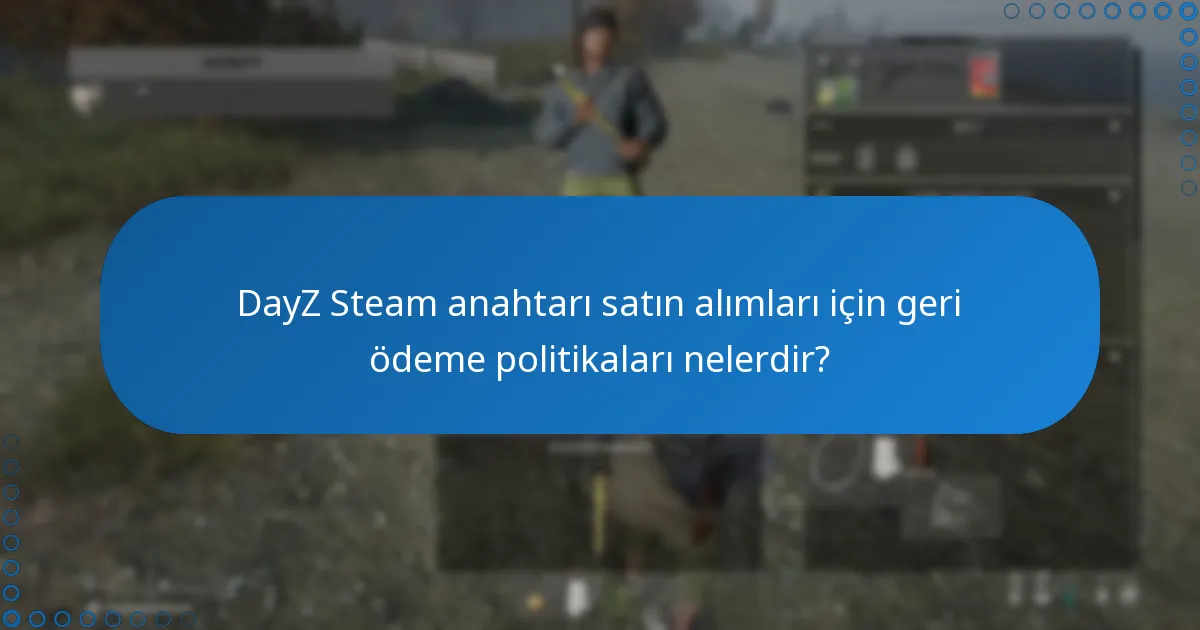 Bir DayZ Steam anahtarı satın almanın riskleri nelerdir?