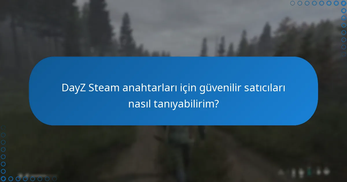 Üçüncü taraf sitelerden bir DayZ Steam anahtarını nasıl kullanabilirim?