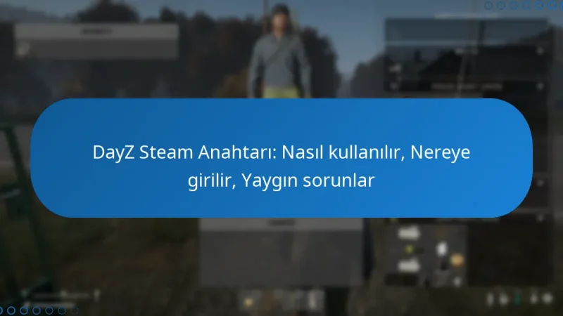 DayZ Steam Anahtarı: Nasıl kullanılır, Nereye girilir, Yaygın sorunlar